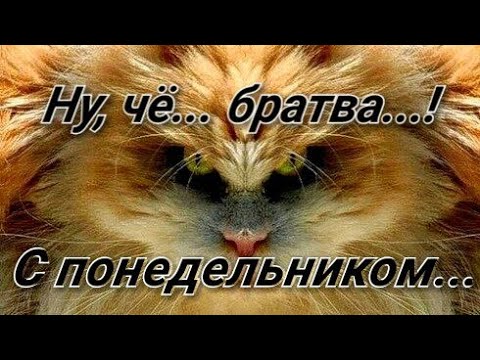 Понедельник, День Тяжёлый! Пусть он будет лёгким!