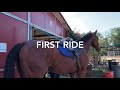 First ride off the track with your OTTB & using the PIVO tracking device