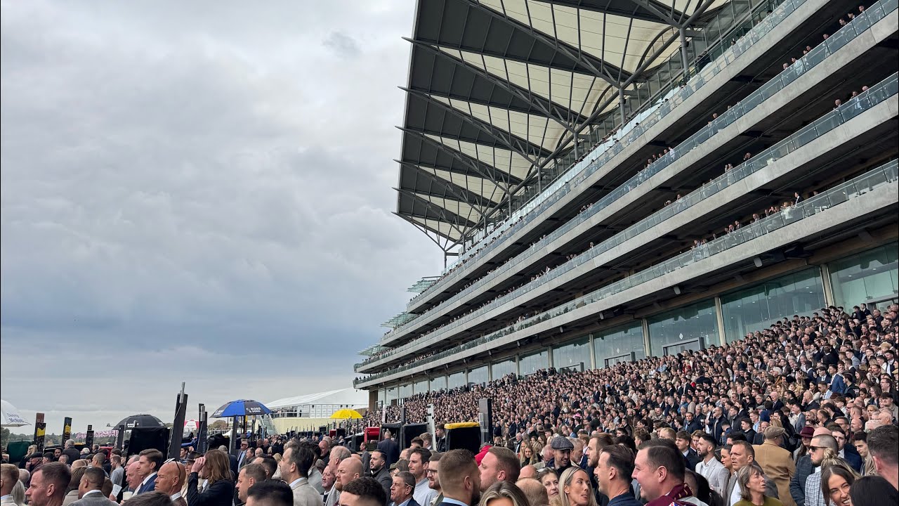 Честные дни пантинга – День чемпионов