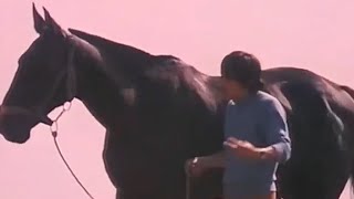 Gönül Akkor - Artık Hiç Ağlamıyorum / Madly (1972) Resimi