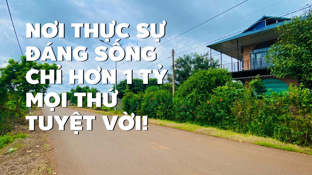 Sát bên nhà Dư bán đất vườn sẵn thổ cư tuyệt đẹp đường nhựa lớn (ĐÃ BÁN)