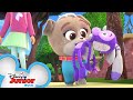 Bunny Monkey Song 🎵| Music Video | Puppy Dog Pals | Disney Junior