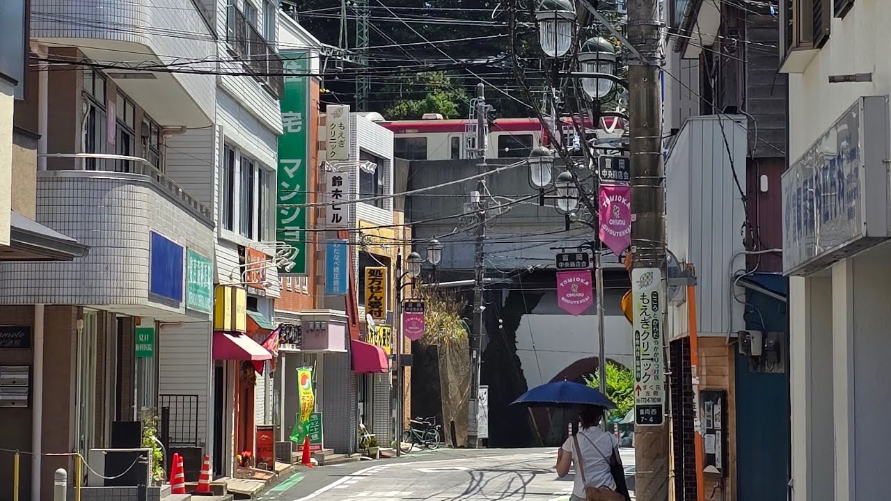 🇯🇵 Томиока ~ Намики Иокогама, прогулка по Японии