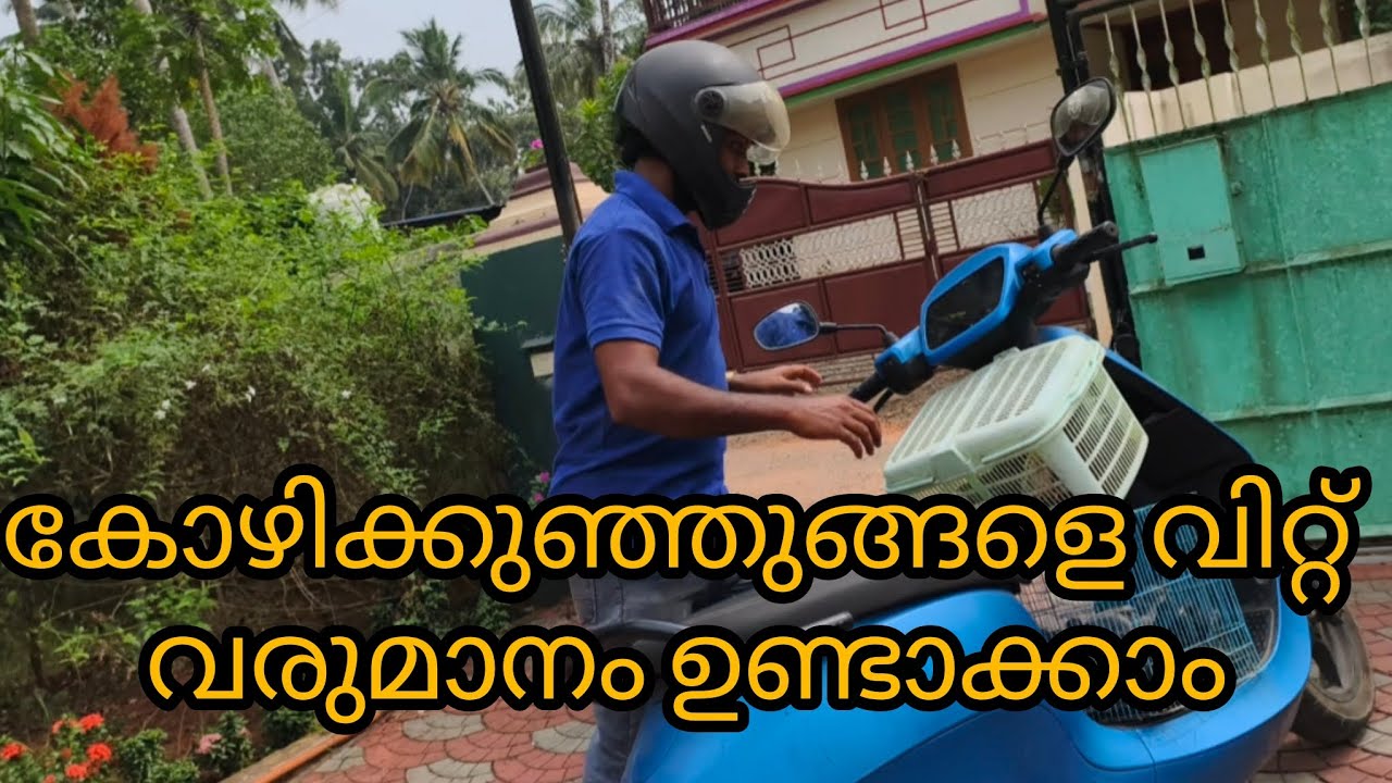 ഞങ്ങൾ കോഴിവിറ്റ് വരുമാനം ഉണ്ടാക്കുന്നത് ഇങ്ങനെയാണ് 👍#youtube #youtubevideo #income #youtubeincome 
