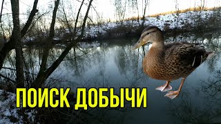 ПОИСК ДОБЫЧИ НА РЕЧКЕ /// ОХОТА С ПНЕВМАТИКОЙ НА УТКУ