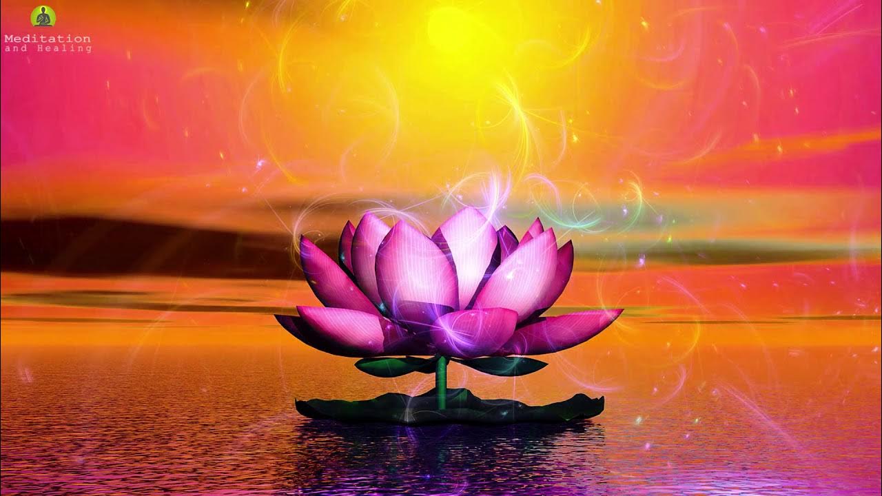 Deep Healing Music Relax Mind Body: Cleanse Anxiety, Stress & Toxins, Magical Sleep Meditation Deep Healing Music Relax Mind Body: Cleanse Anxiety, Stress & Toxins, Magical Sleep Meditation