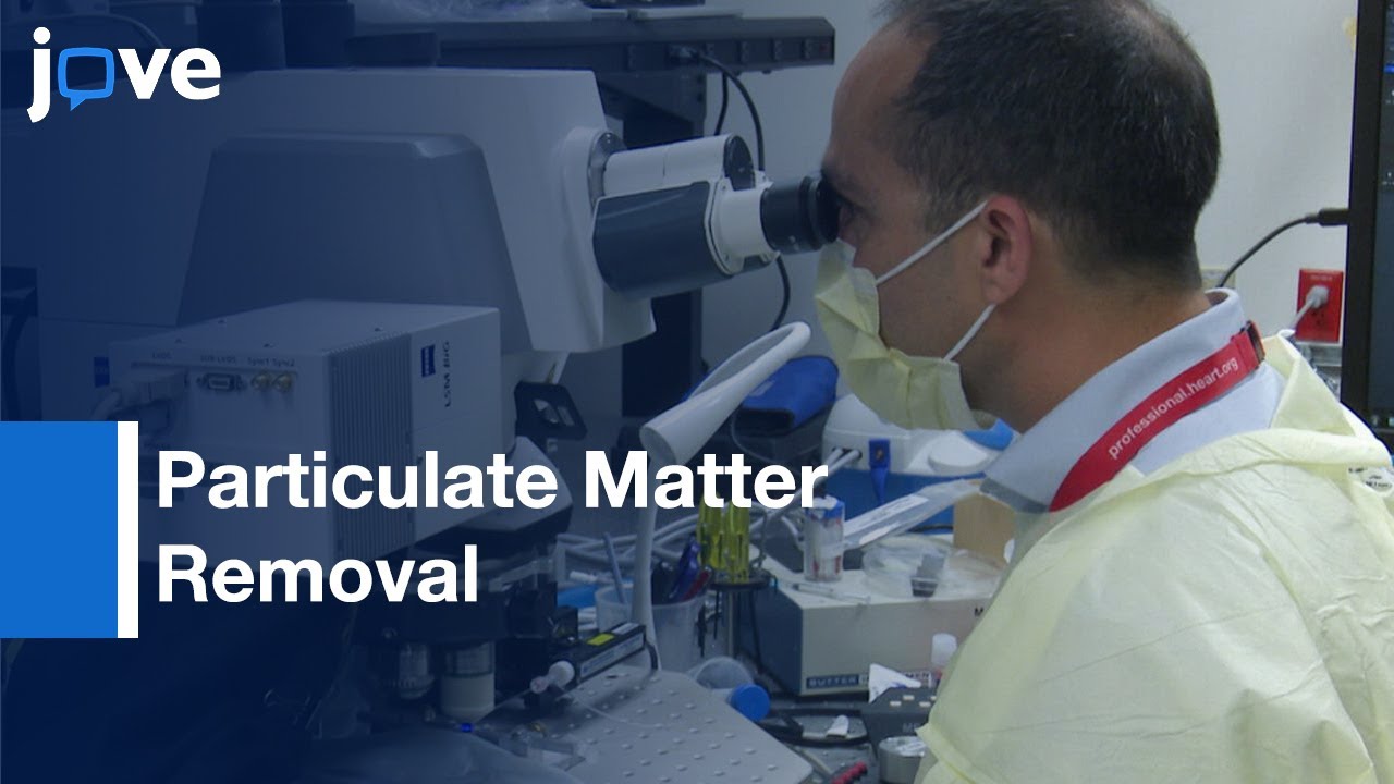 Particulate Matter Removal Abilities Assessment of Tree Leaves | Protocol Preview