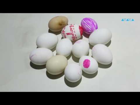 სიახლეები - CCA-Tbilisi 2016 წლის სტუდენტების შემაჯამებელი გამოფენა