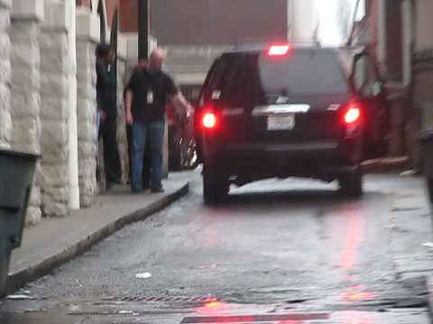 elvis(nicks dog), Big Rob, and Maya in nashville T...