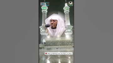 توافق صوت الرعد مع اسم الله (العزيز) في تلاوة الشيخ ياسر الدوسري 🥺💔