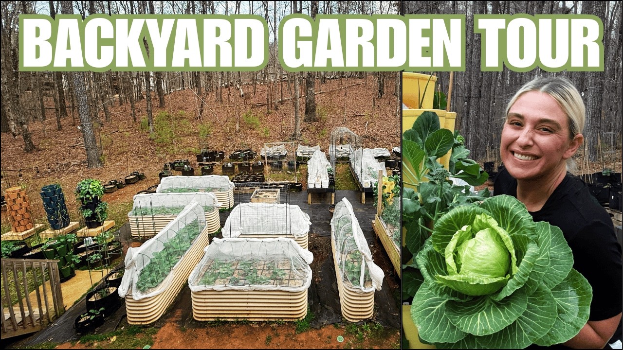 Garden Tour & Harvest | Spinach and More Cabbage (Week 4) February 2026