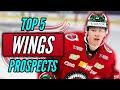 Top 5 Red Wings Prospects (2020-2021) || Detroit Red Wings Top Prospects