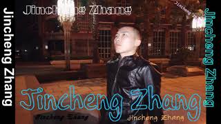 Jincheng Zhang - Resistant (Instrumental Version) (Background Music)