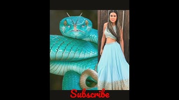 All naagin actors 🐍🐍 same dress same snake 🐍🐍 ❤️❤️#status which is your favourite nagin 🐍