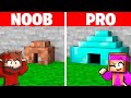 Construire en minuscule noob vs pro sur minecraft 