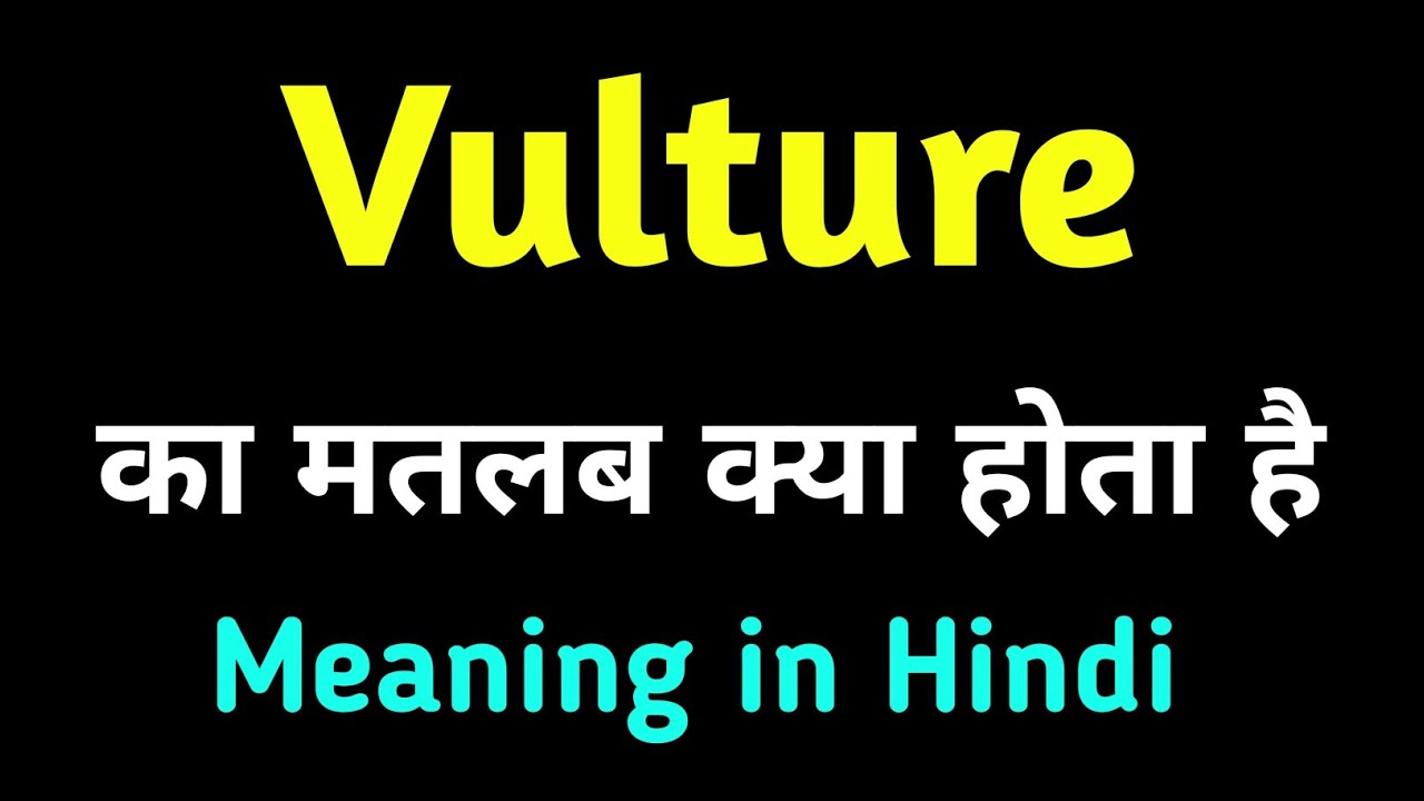 vulture-ka-hindi-matlab-kya-hota-hai-vulture-meaning-in-hindi-with