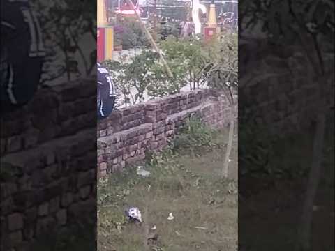 আরে শান্তি #vlogwithsohelvillagelifestyleinbangladeshbeautiful #viralshort