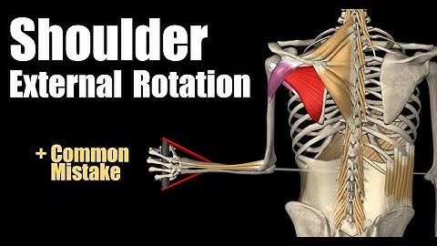 Shoulder External Rotation (With Cable)