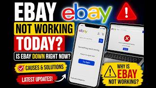 eBay Not Working Today? Here’s Why eBay Is Down Right Now!