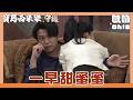 【寶島西米樂 守護】EP264｜德惠摔到家展身上 卻被芳男撞見兩人甜蜜蜜？｜Oh!8歐叭