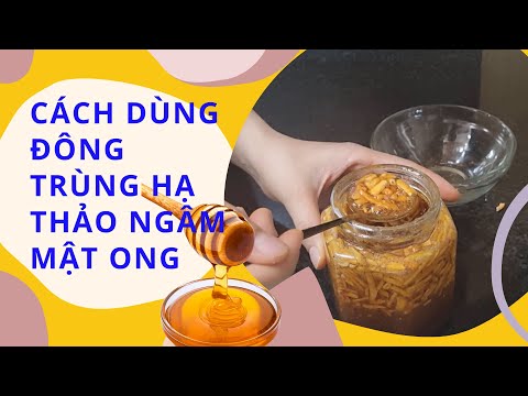 Video Cách dùng đông trùng hạ thảo ngâm mật ong hiệu quả nhất - youtube