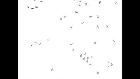 Simulation of Flocking