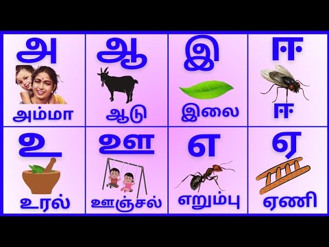 உயிரெழுத்துக்கள்/Uyireluthukkal/அஆஇஈ/Tamil Alphabets for kids @PEEKABOO-ff8wq #uyireluthukkal