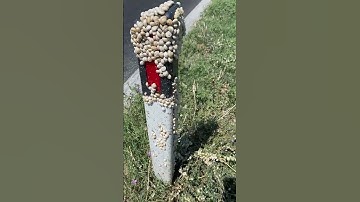 Hello Boss, Michael, Michael. I have a problem