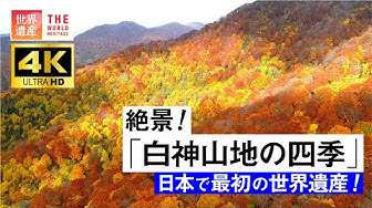 白神山地 Youtube