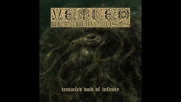 Veiled Metamorphosis - Tentacled Void Of Infinity (Full Album 2025)