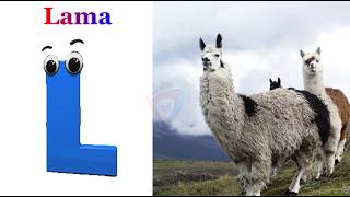 Phonics For Kids Abc Song For Toddlers Learn Abc And Alphabet Letters Nursery Rhymes And Videos