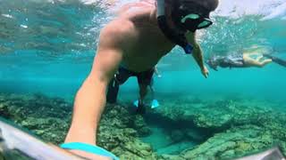 Hawaii Big Island Snorkeling 🤿 • 4/22/24 • #3
