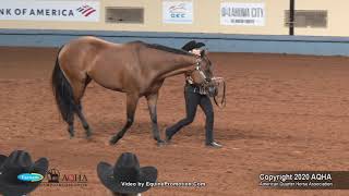 2020 AQHA Select Showmanship