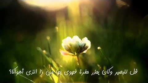 لله فى الآفاق آيات لعل اقلها هو ما إليه هداك