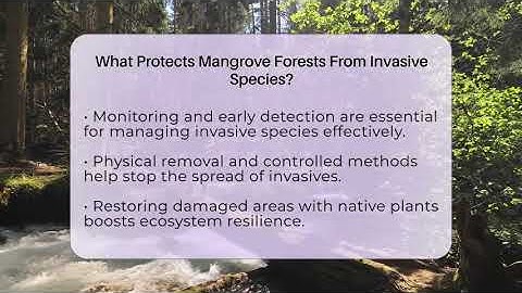 What Protects Mangrove Forests From Invasive Species? - Ecosystem Essentials