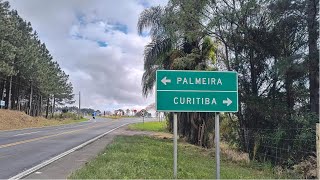 Download Lagu Palmeira Paraná 370/399 video4K MP3