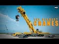 इतनी बडी क्रेन आपने कभी नही देखी होगी  | Massive Engineering Biggest Cranes