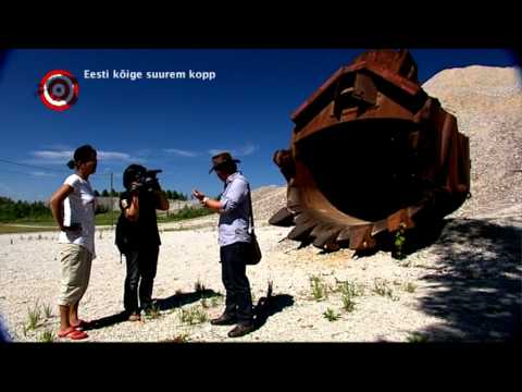 Video: Maailma suurim mardikas: foto, kirjeldus