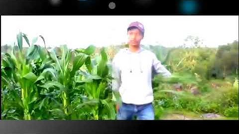 Awali youtub dg chinematik wkwk