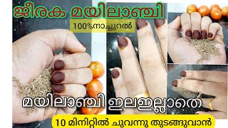 രകമയലഞചമയലഞച ഇല ഇലലത ഒര മലഞച Jeeraka Mailanji, Long Lasting Nail Mehandi