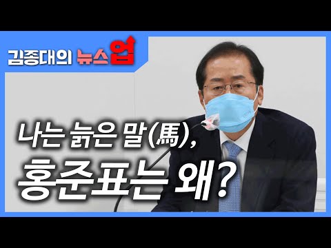 나는 늙은 말(馬), 홍준표는 왜?[뉴스 생노(怒)병사의 비밀]