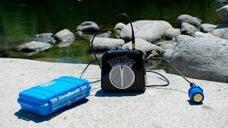 Build a Hydrophone to Listen to Whales
