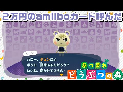 アミーボカード　ジュン　amiibo どうぶつの森