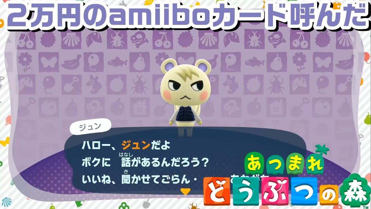 どうぶつの森 amiibo カード ジュン-