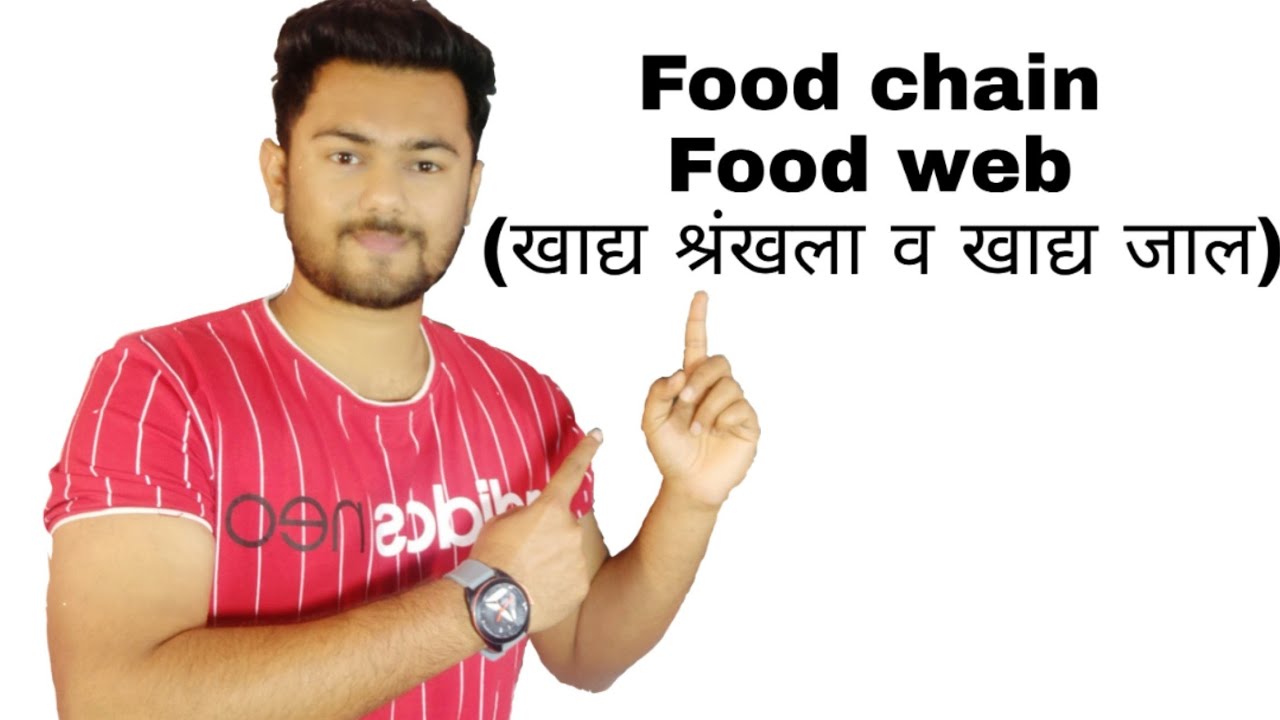 Food chain and Food web (खाध्य श्रंखला एवं खाध्य जाल) Ecology for Neet part 7 YouTube