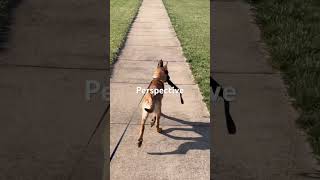 Don’t lose sight of what truly matters