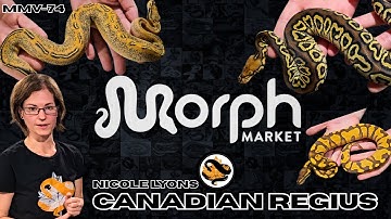Ball Python Morphs You Can