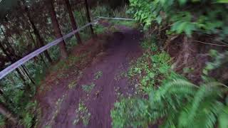Elliott Heap helmet cam - stage 4, Colombia EWS
