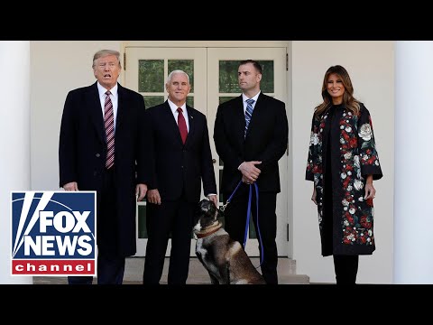 Trump honors dog wounded in raid that killed al Baghdadi