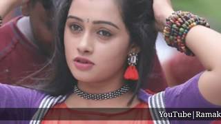 Agnisakshi Telugu Serial Beautiful Song 👌💕